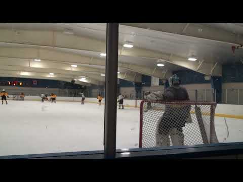 Trevor Lemp goal 1-29-2025