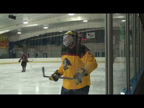 OHL 04-01-2026 Knights vs Tank Fillers (stands)